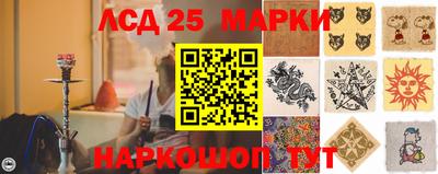 a pvp Кингисепп
