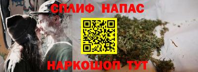 a pvp Кингисепп