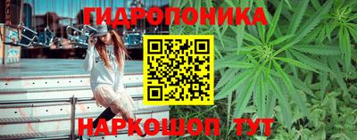 дурь Кинель