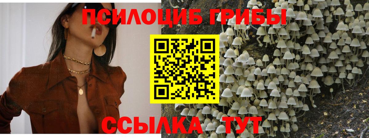 Галлюциногенные грибы мухоморы  Галлюциногенные грибы Psilocybe  Ухта  Вход с VPN 